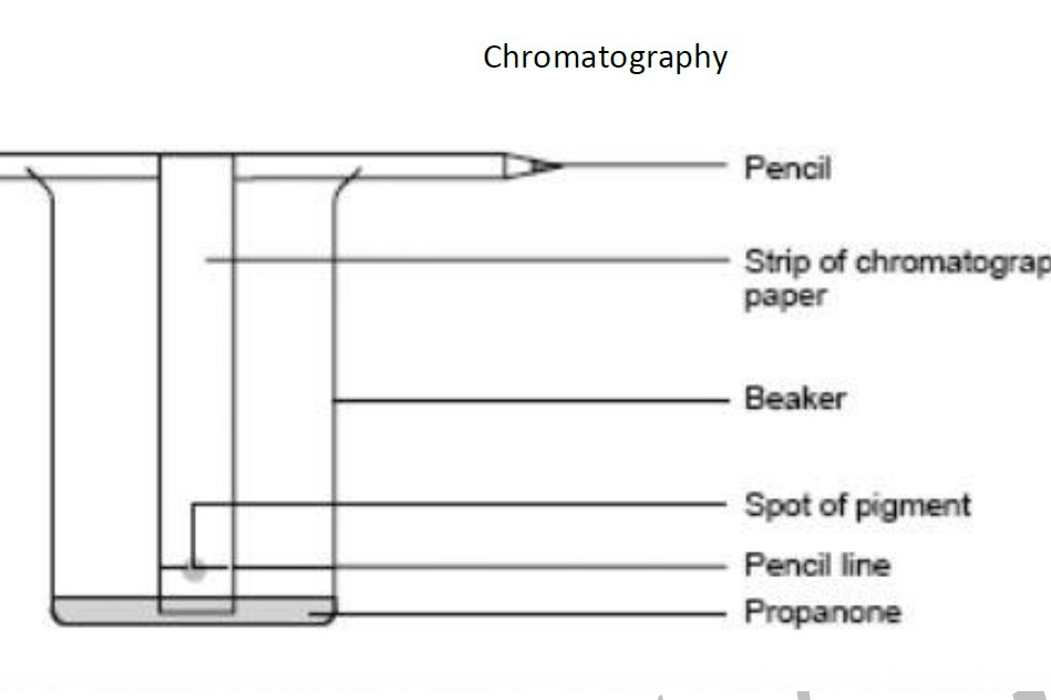 4 Chromatography And Separation Of Mixtures Part 2 4-chromatography-and-separation-of-mixtures-part-2