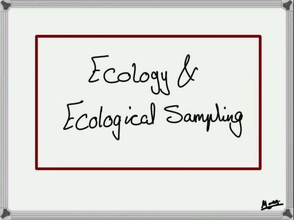 Ecology & Ecological Sampling
